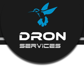 Logtotipo de Dron Services
